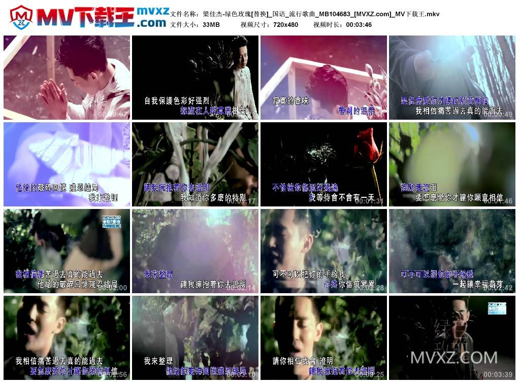 梁佳杰-绿色玫瑰[替换]_国语_流行歌曲_MB104683
